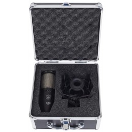 AKG P420  - USATO