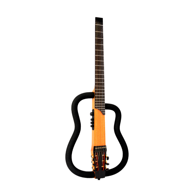 FRAME WORKS THE FRAME ACOUSTIC GUITAR