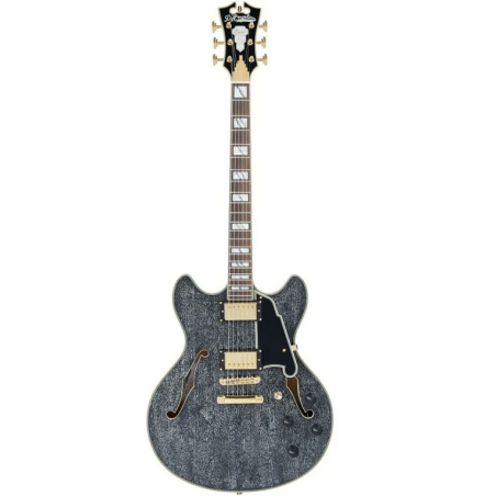 D'ANGELICO EXCEL DC - BLACK DOG