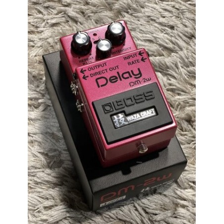 BOSS DM-2W DELAY WAZA CRAFT